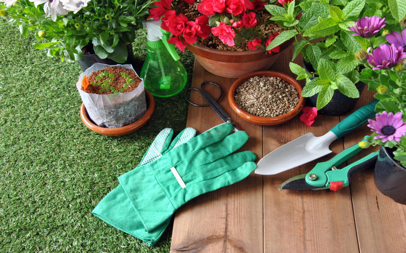 Tareas del jardín en septiembre