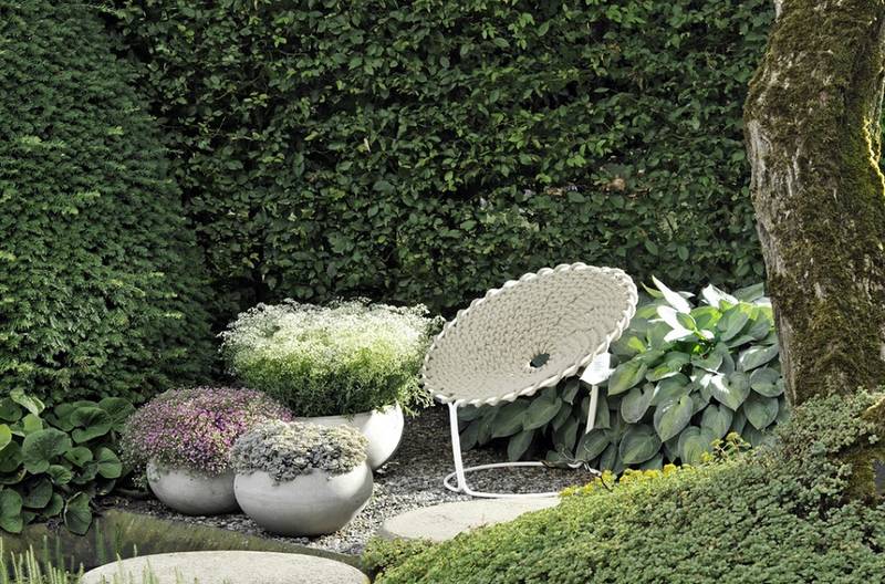 Segueix gaudint les teves plantes