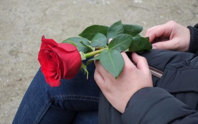 Sant Jordi: Dia Internacional del Llibre i de la Rosa