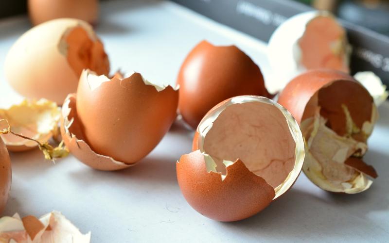 Netejar testos amb closques d’ou