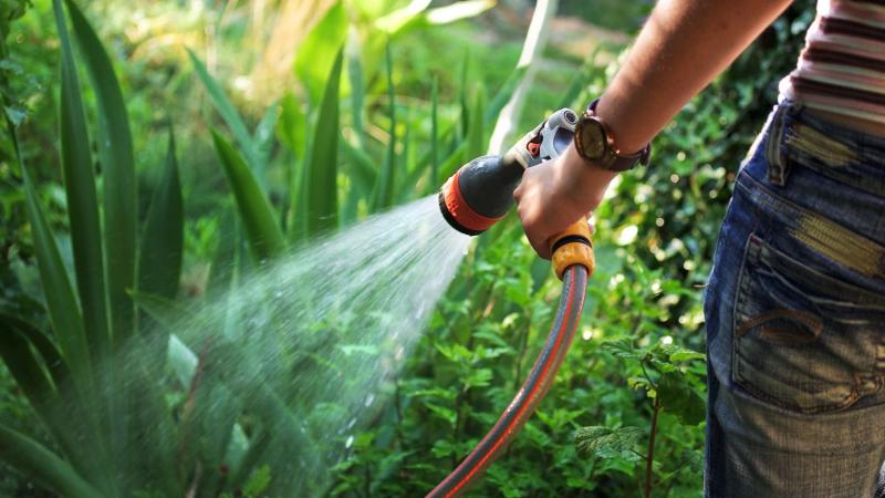 Protegeix les teves plantes i jardí de les onades de calor